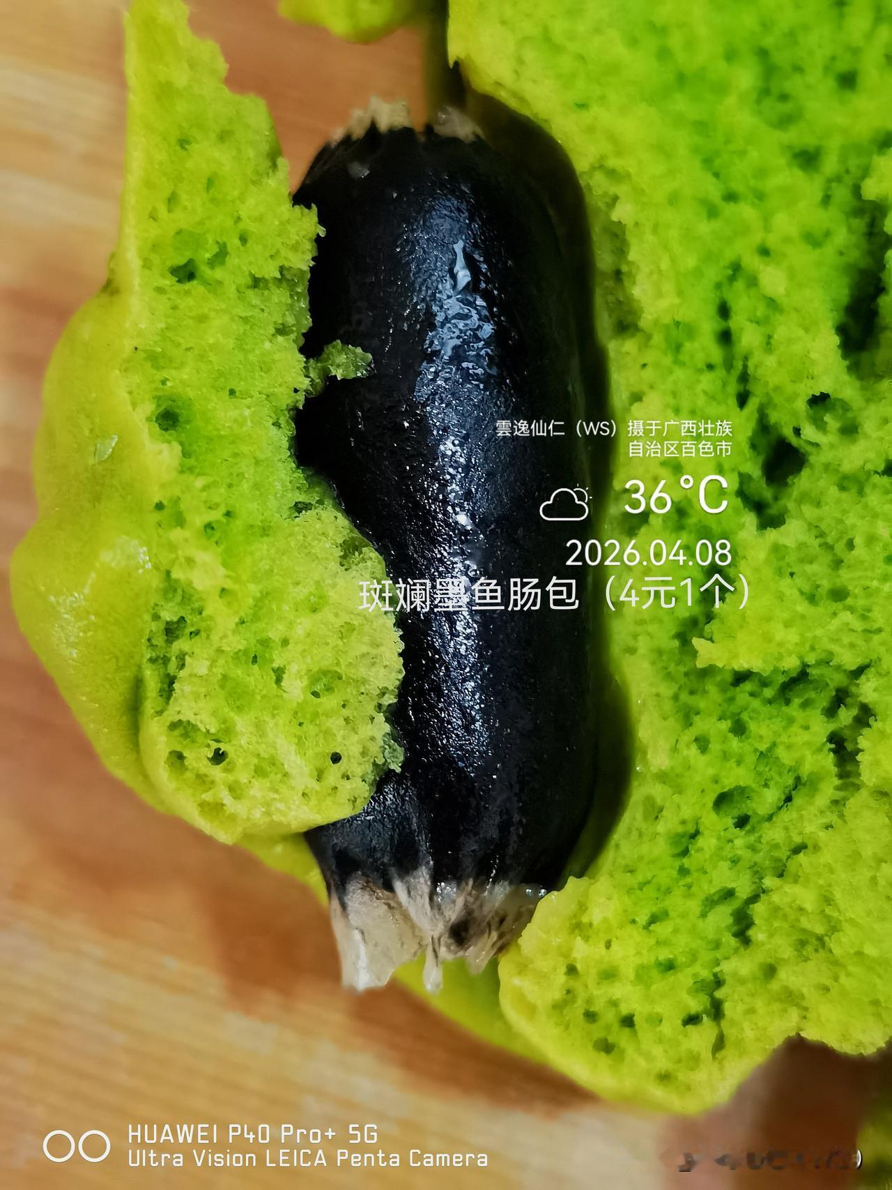 旅居生活记录（9441）广西壮族自治区百色市（126）品尝小吃37：斑斓墨鱼肠包