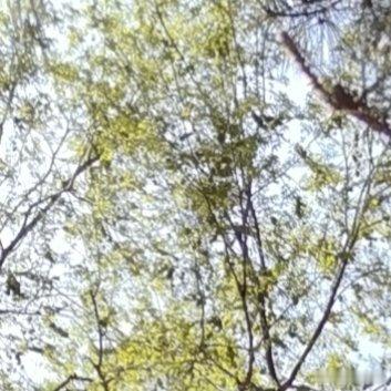 其实你心里早就翻篇了只是嘴硬你还在跟朋友说"我早忘了"，朋友问"那你还记得他生日