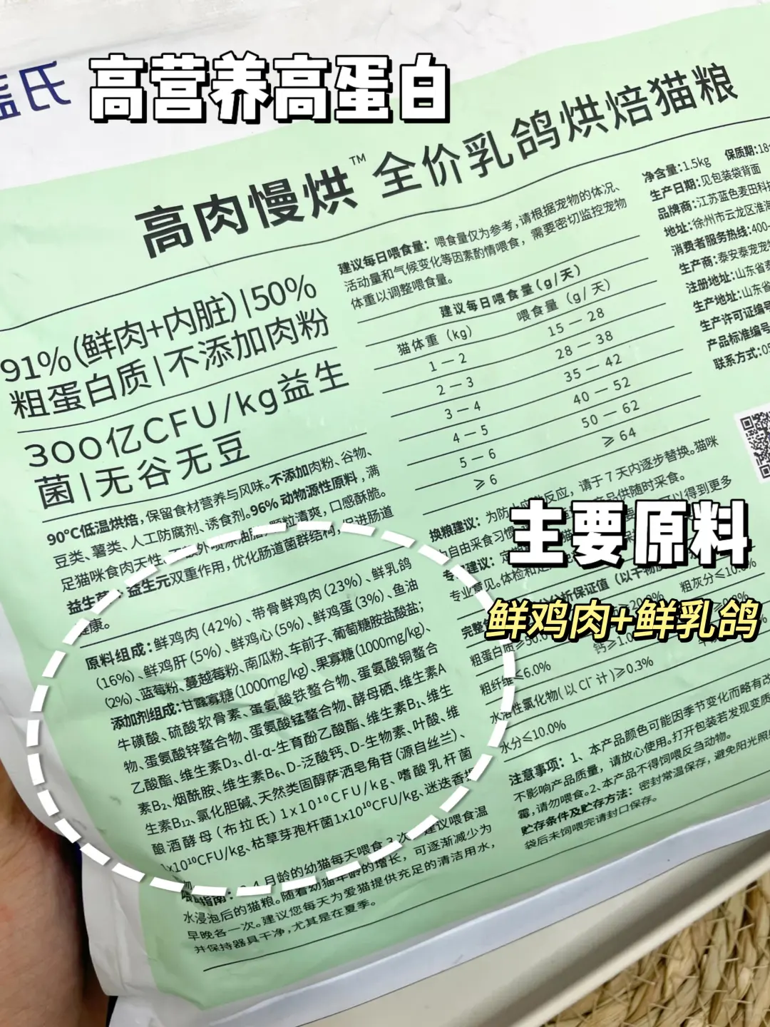 养大一只健康猪咪真的很有成就感