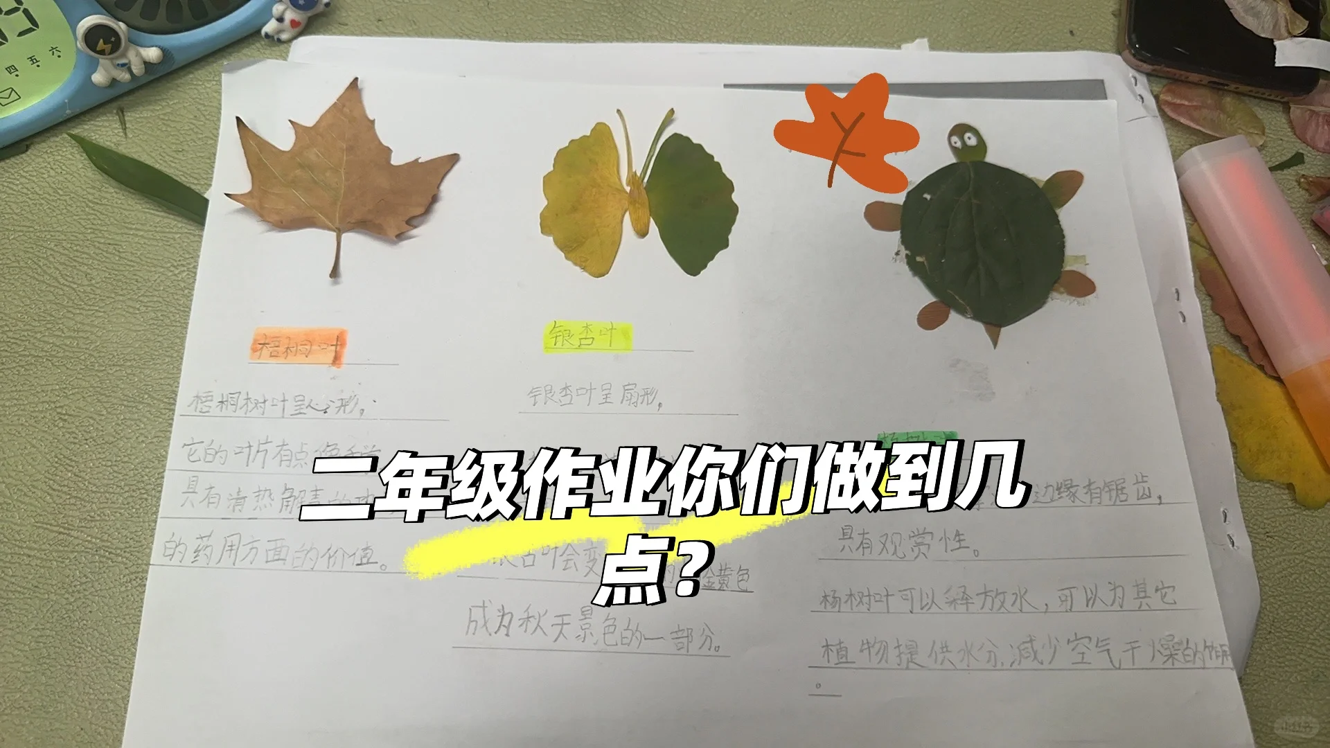 二年级你们都怎么过的？