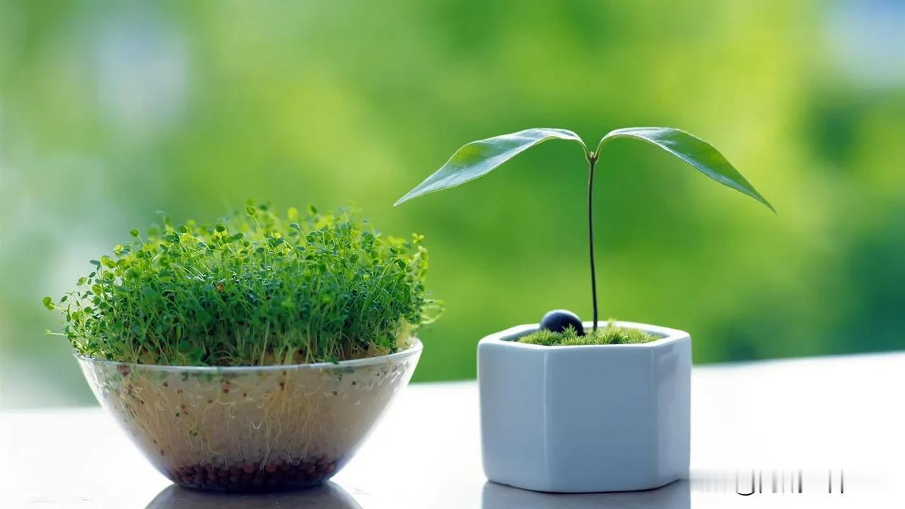 学生小雅的妈妈王女士原本是乡镇企业的一名普通工人，她的叔叔是地级市的一名主要领导