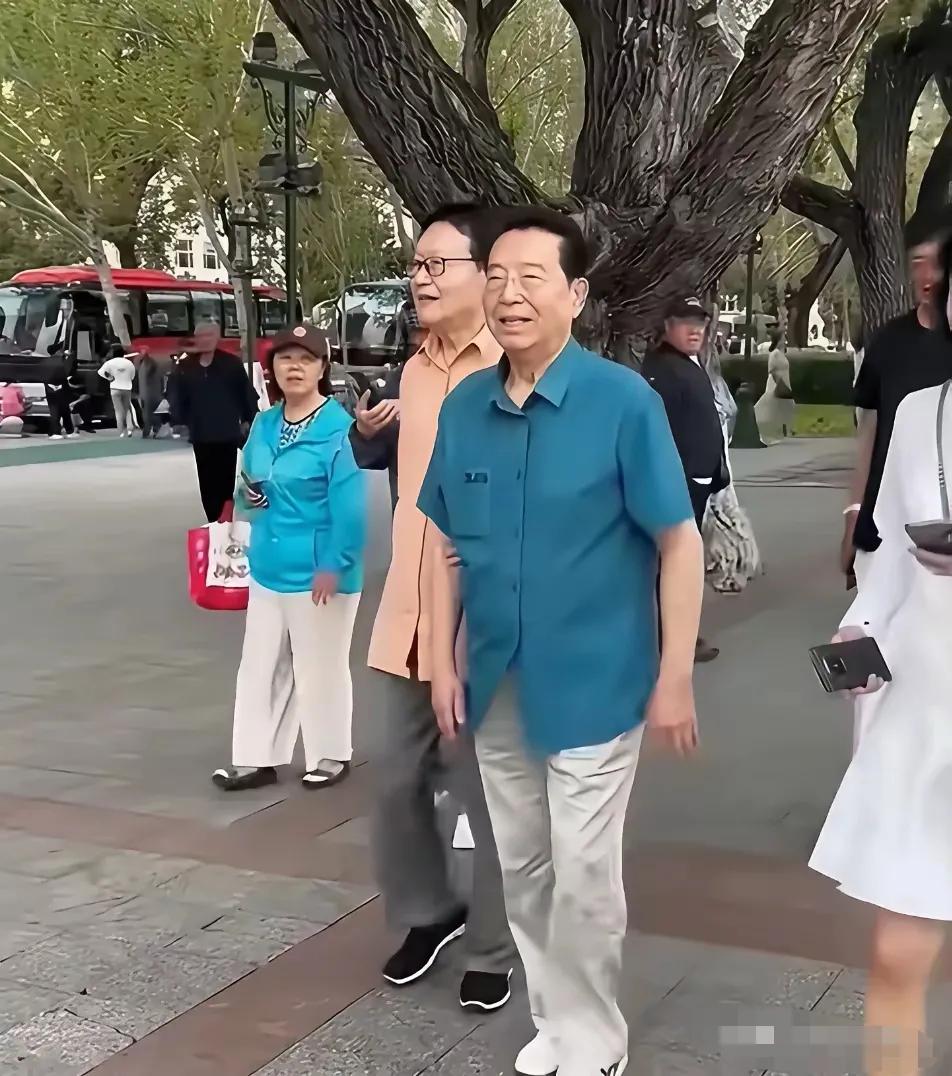 网友偶遇李双江和朋友们悠闲地散步在公园里，享受着宜人的天气。李双江老师今年已经8