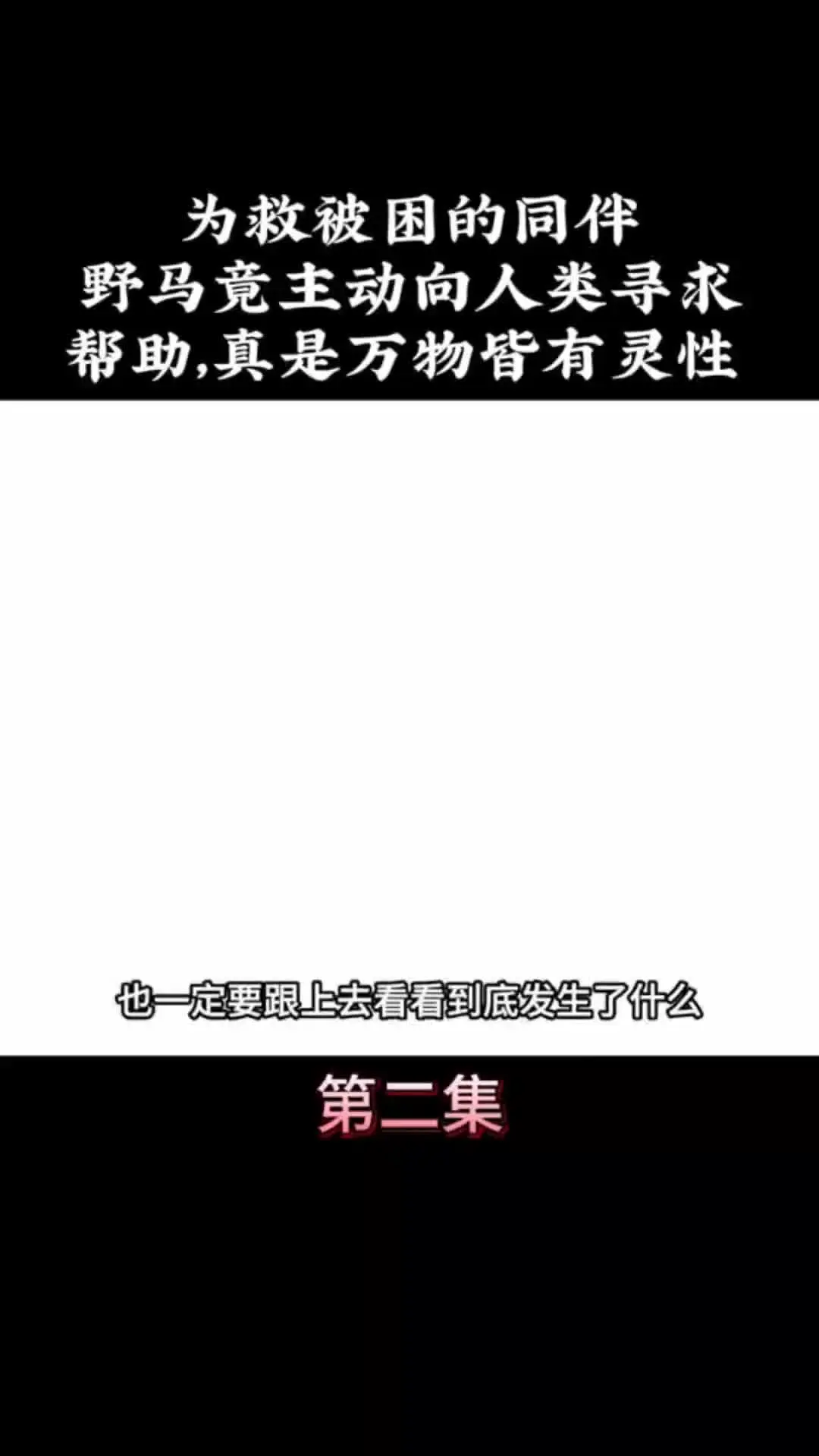 我的观影报告 内容启发搜索 神奇动物在