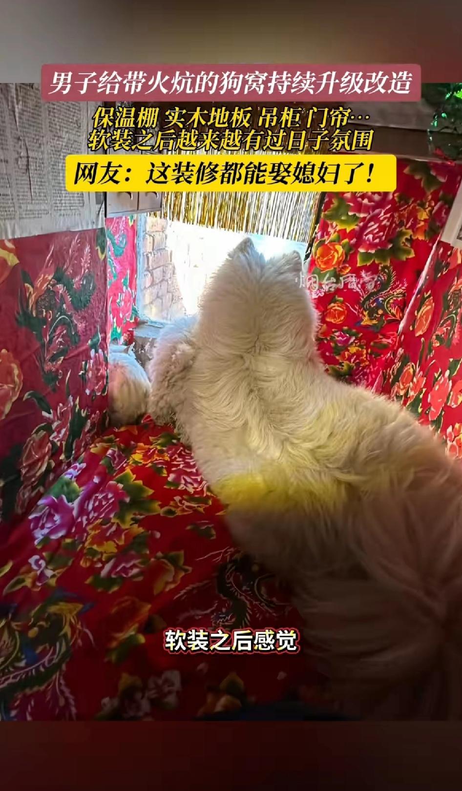 男子给狗窝盖火炕持续改造！
由普通火炕现在直接给毛孩子整了个豪华“套房”。
青砖