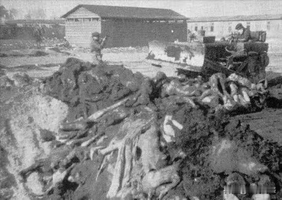 纳粹当年杀人消尸灭迹的画面，令人发指，毛骨悚然，日本鬼子与其相比较，有过之而无不