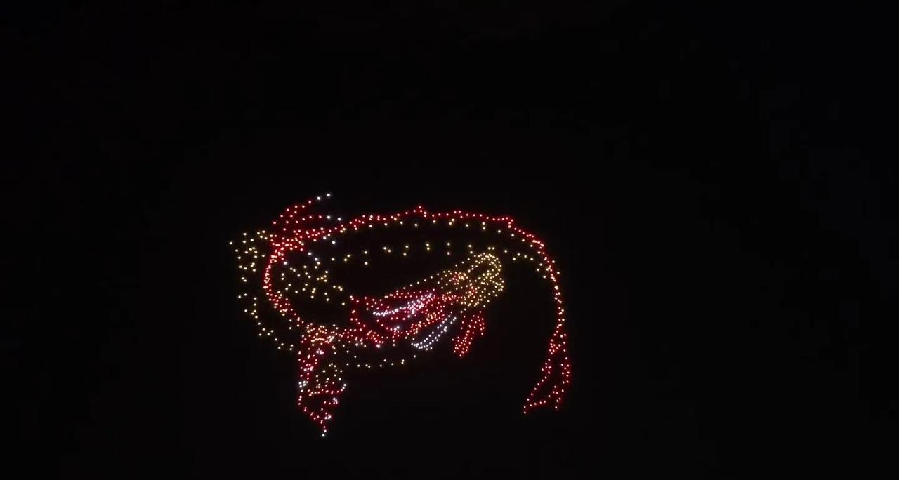 衡水学院无人机表演！
衡水学院 老校区又是无人机 又是舞狮表演 新校区看到哭了衡