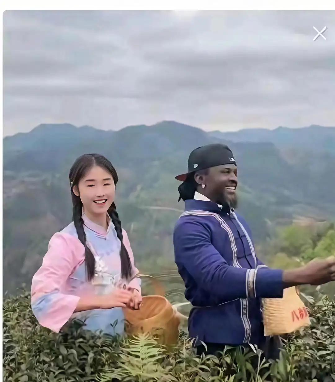 如果是游客，无论谁过去采摘都无所谓，但你当地文旅让这些外国人当推广大师，本以为会