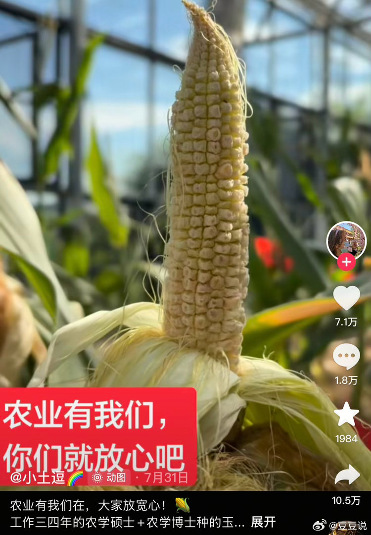 解决了大家饭吃太饱的问题 
