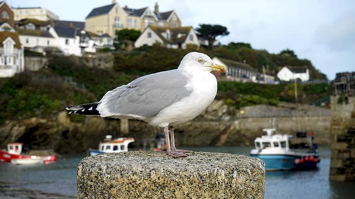 俞敏洪说：‘如果拼了命，英年早逝，和不那么拼命，活到八九十岁，看世界变化，我认为