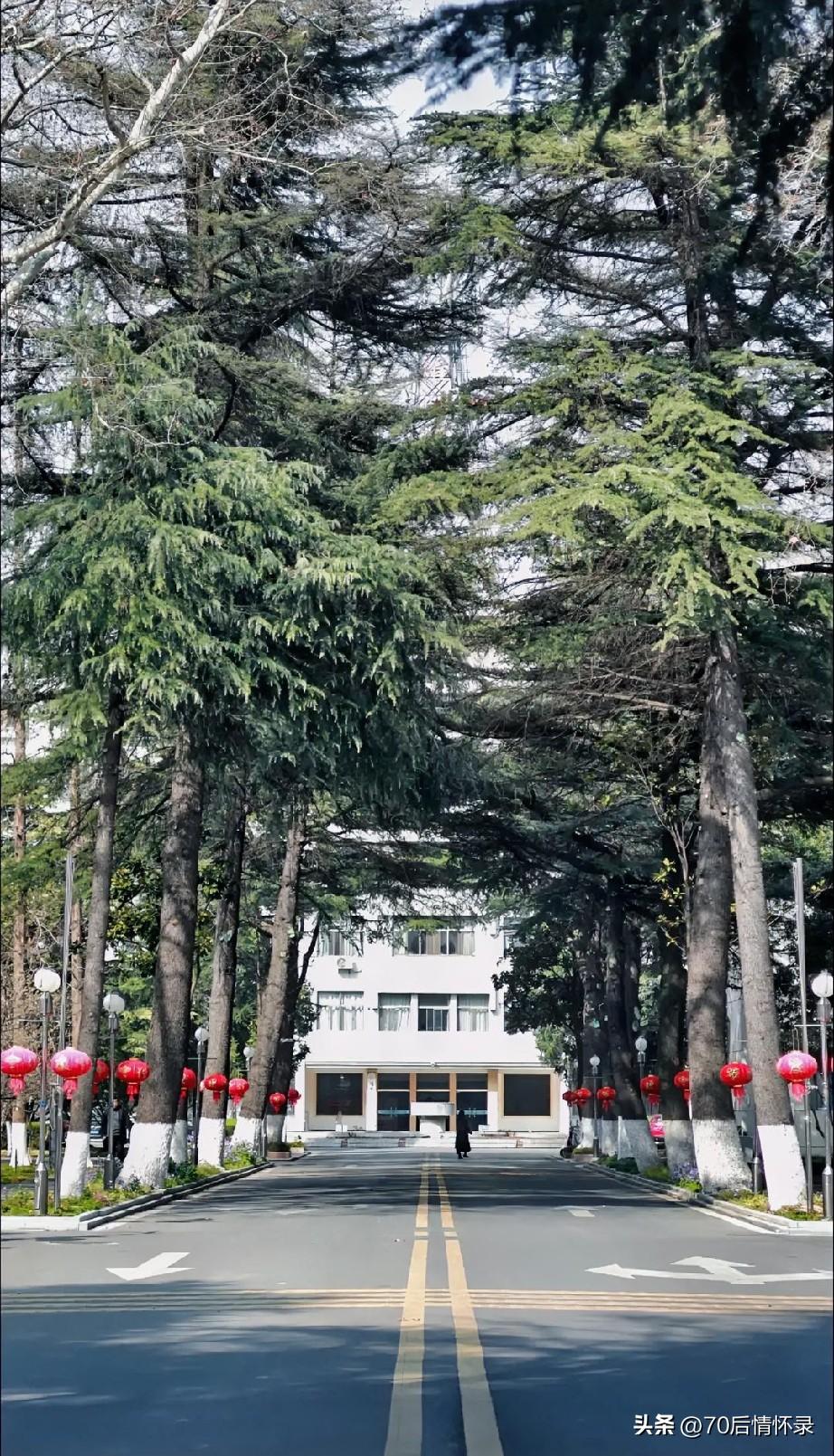 《鹧鸪天》
桂拂淮师入学天，少年携梦赴书筵。
新生素履寻湖影，旧友重游赏桂烟。