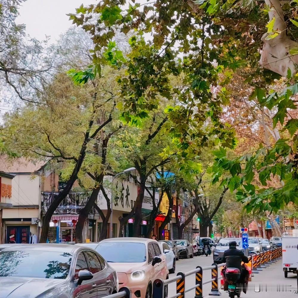 大自然的“平衡法则”从来没变过，只是不同的时代，人类的“枷锁”换了而已。

以前