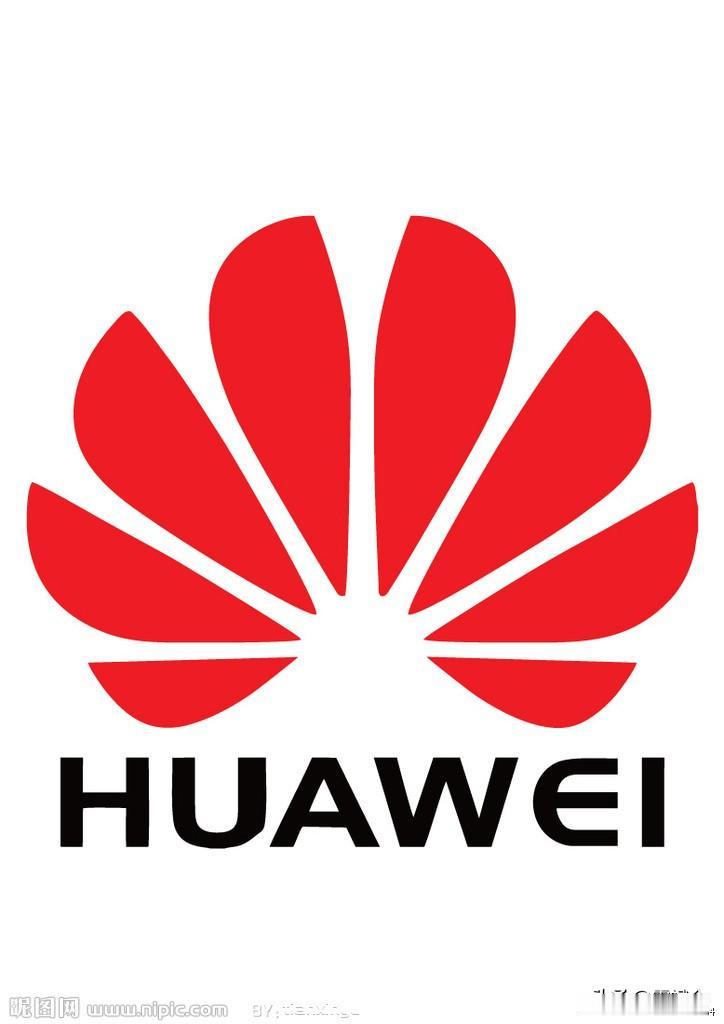 引领人类航向的精英群体，一定会成长在中国  
          天亮前做了个梦