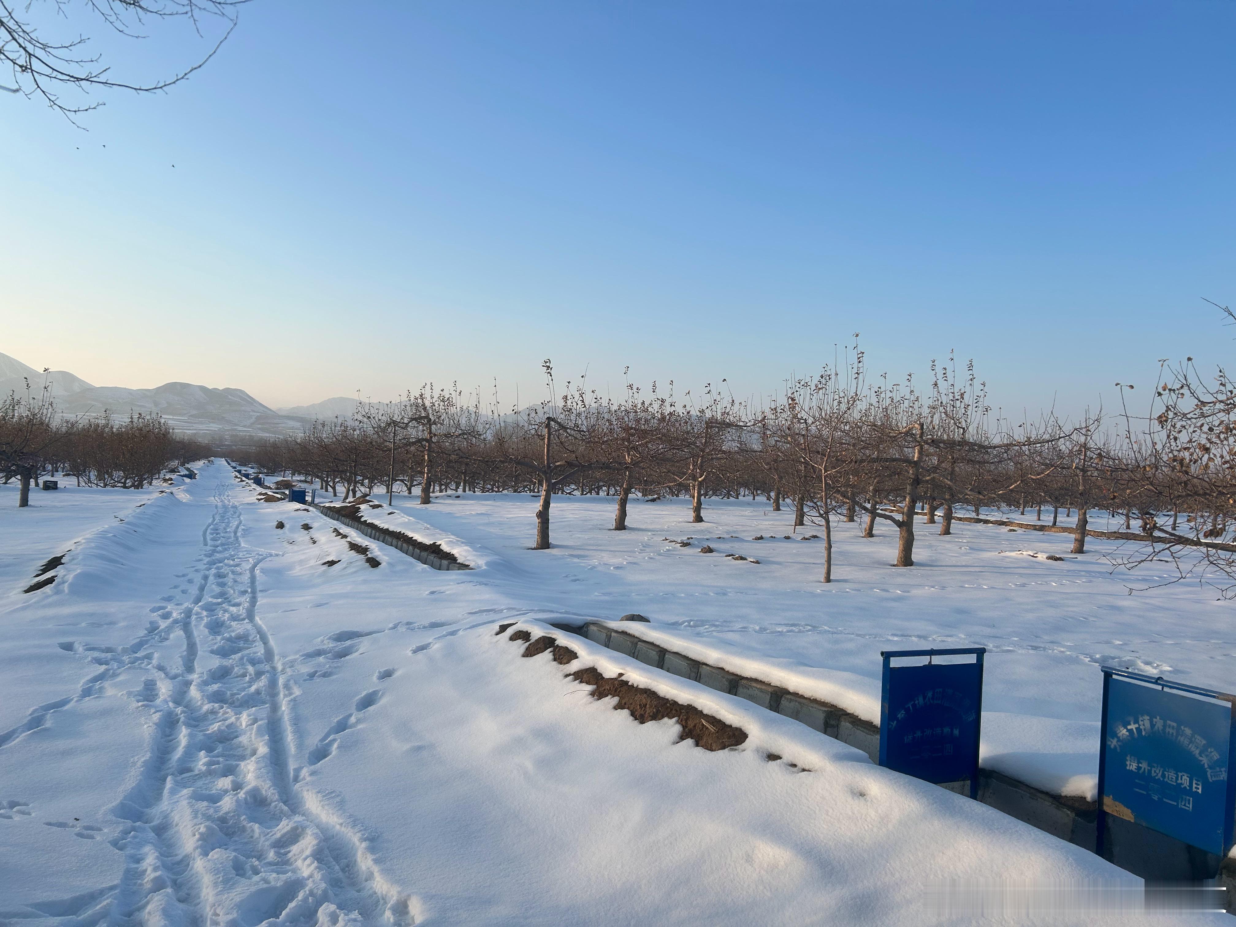 瑞雪兆丰年。看我们的果园地主家的感觉不用去东北甘肃的雪景也很美。  