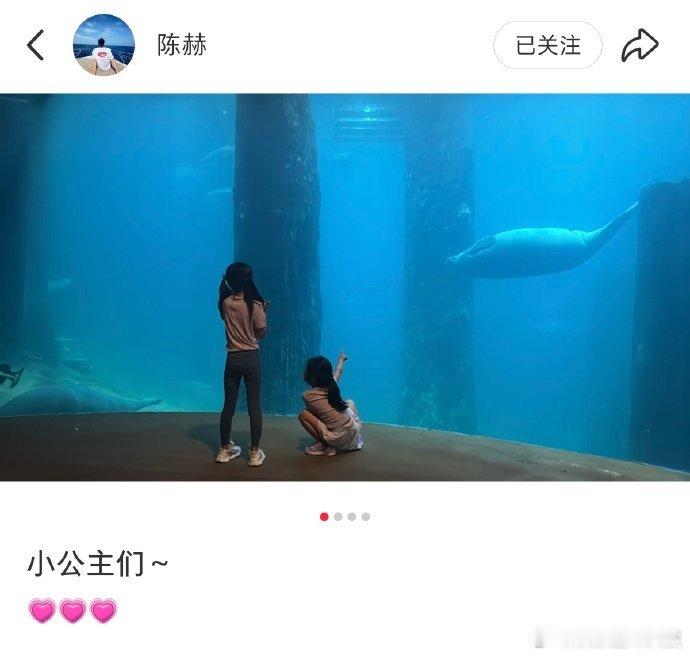 陈赫晒张子萱和女儿背影照 陈赫晒张子萱母女背影，好温馨呢~ 陈赫晒张子萱母女背影