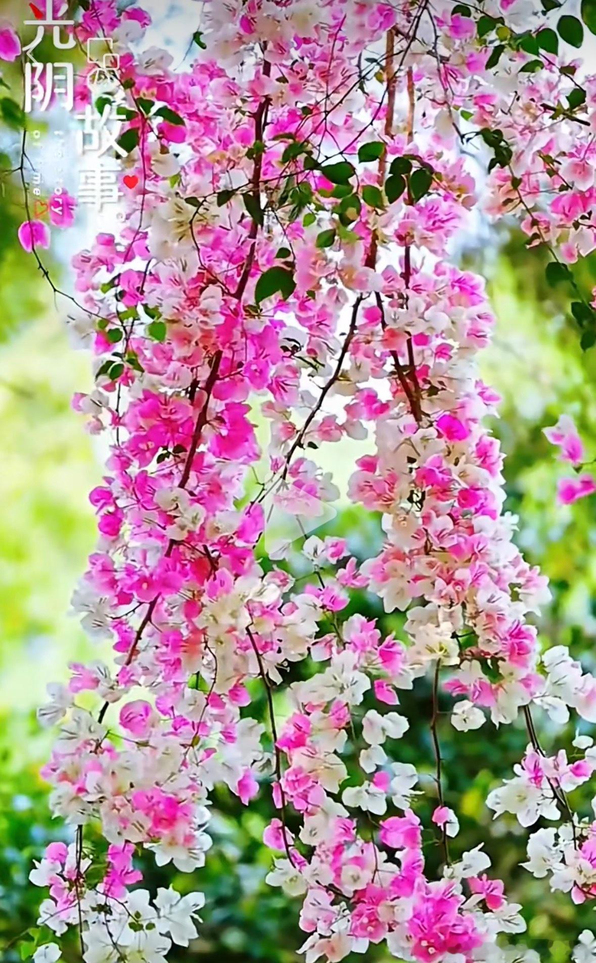 50岁之后男性守好这三道关：50岁之后，男性的身体逐渐进入了一个重要的过渡期。随