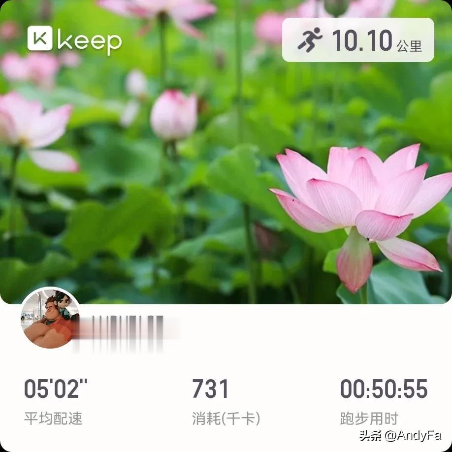 要不是一睁眼刷了一下朋友圈，都忘记今天是夏至了！原计划的跑休只能放弃了，所以起步