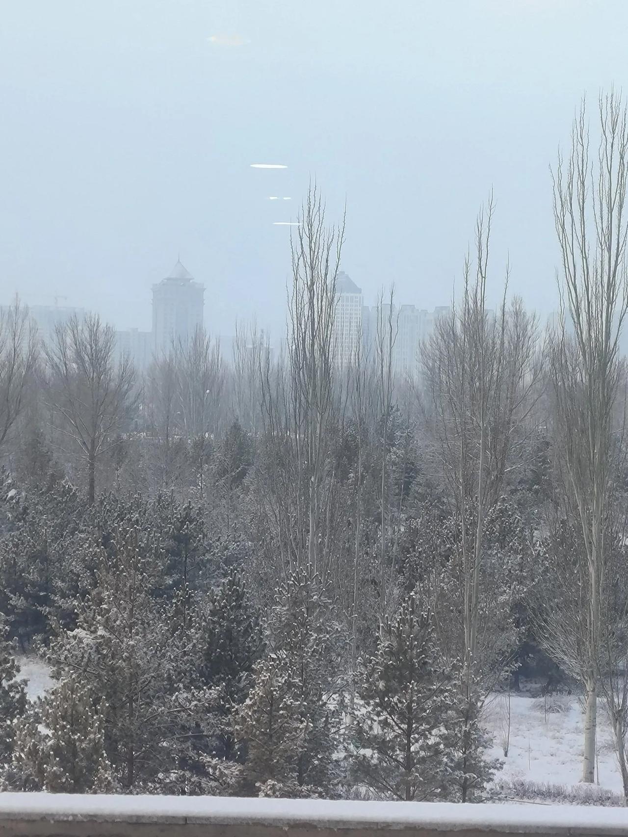 今日惊蜇，确实把我们惊着了。昨天积雪刚刚消完，今晨又悄悄堆满。推开门一看，嗬，又