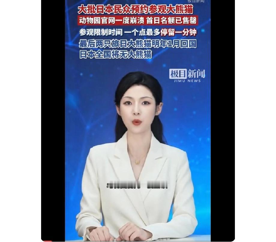 日本人预约参观大熊猫 官网一度崩溃 日本民众对大熊猫的热爱简直爆棚啦！12月15