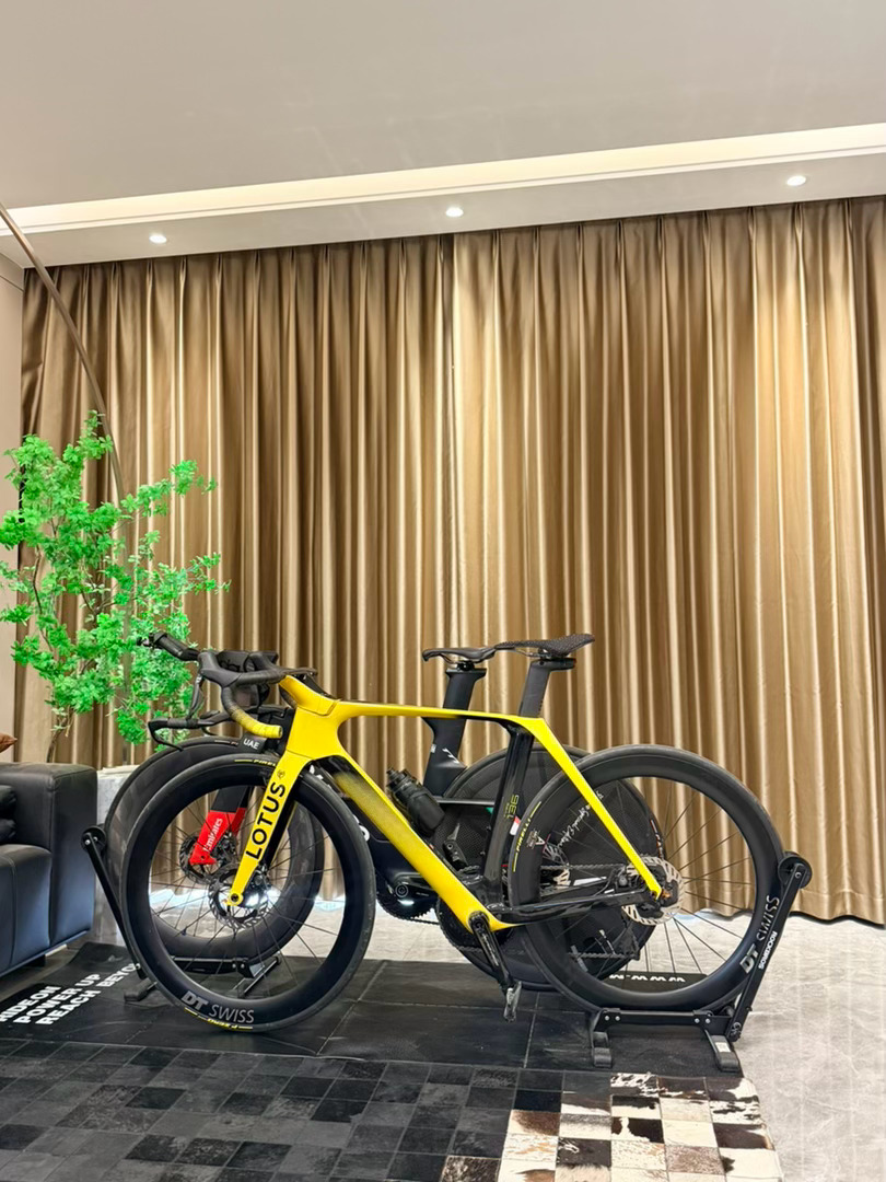 血贵自行车 一台快12万 一台快20万 真夸张我的日常ploglotus梅花tt