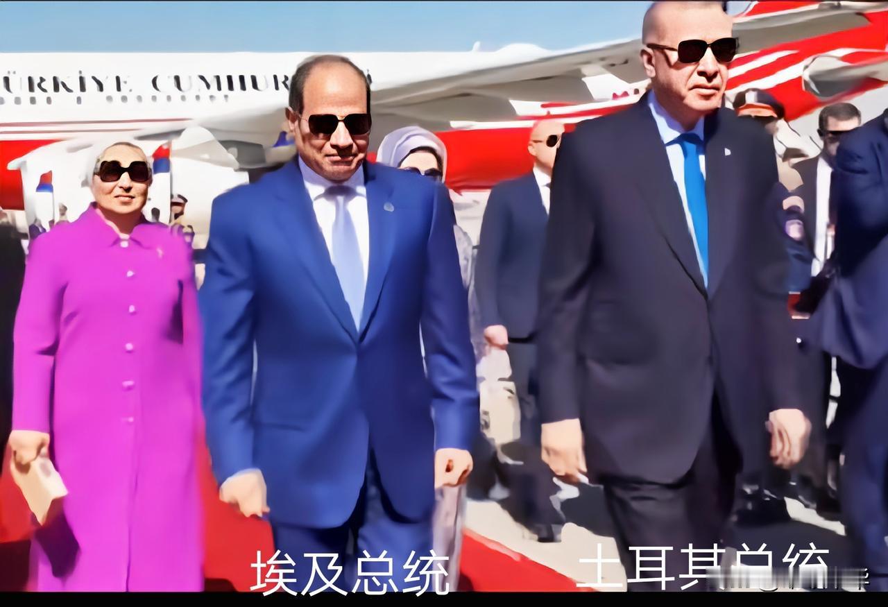 亲自赴机场迎接土耳其总统埃尔多安，埃及总统塞西采用的是外交规格上的最高安排。
两