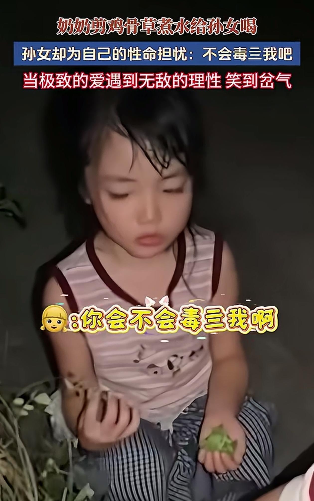 “笑不活了！”广东，奶奶带孙女去剪鸡骨草，想着给她煮水喝，可小孙女看奶奶一直在摘