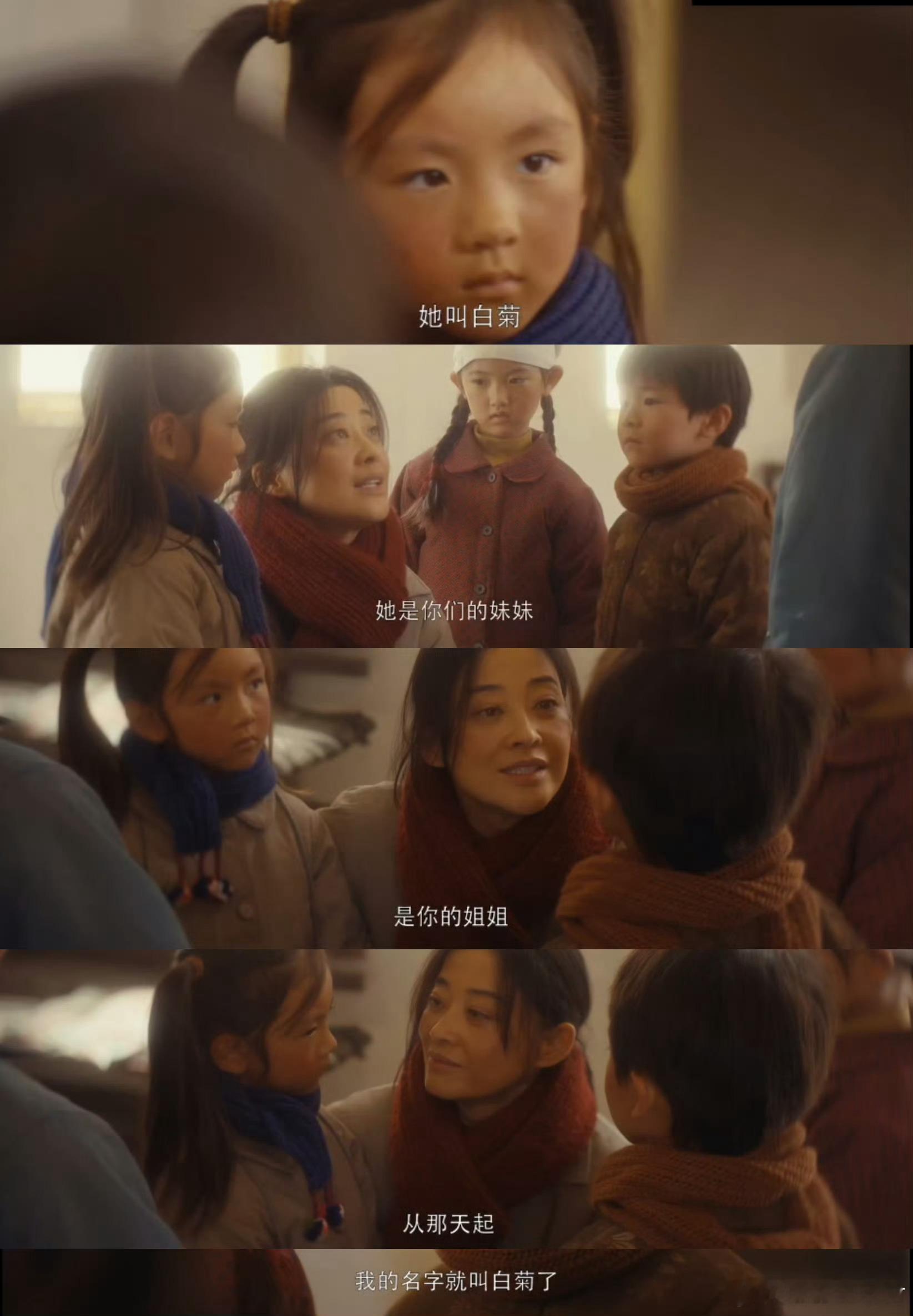 生命树欢乐颂联动上了 邱莹莹的软萌里藏着倔强，高原莹莹的硬核里藏着温柔，杨紫把角