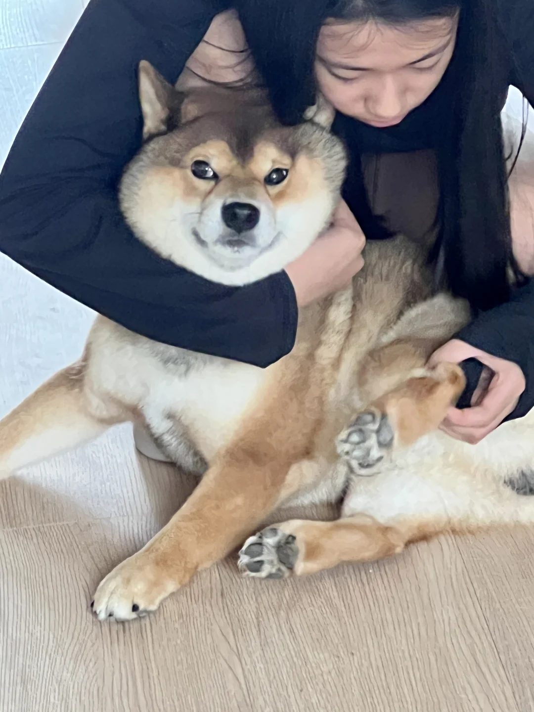 狗：不洗，谢谢