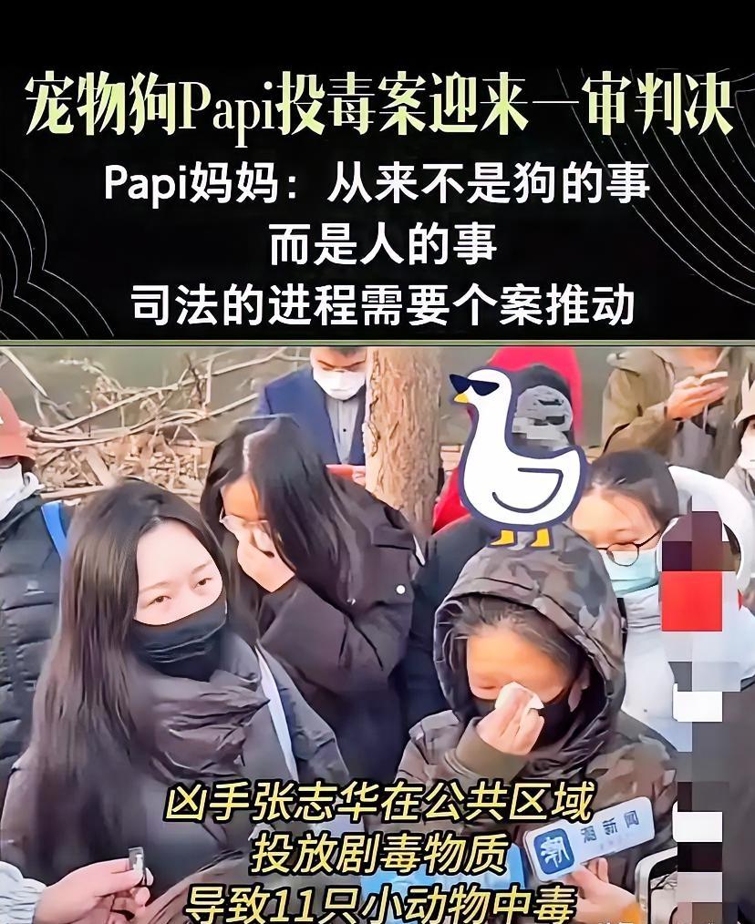 看到法院门口那一幕，
​​我是真没忍住想笑。
​​十几个狗主人抱团痛哭，
​眼珠