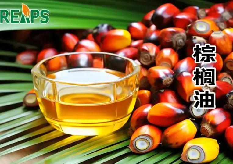 印尼又传来大消息！

2026年7月20日，印尼总统普拉博沃正式宣布，从今年7月