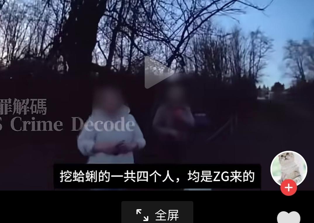 4名华人因挖蛤蜊，每人面临高达5000美元的罚款。美国当地法律规定每人最多挖40