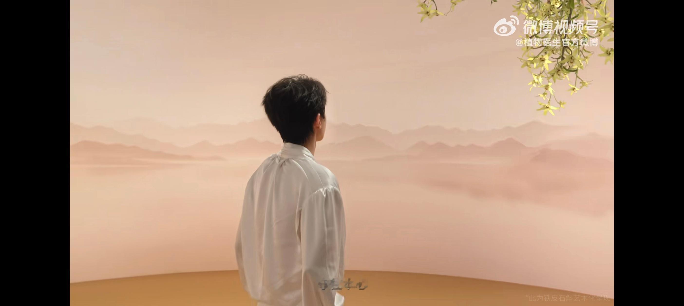 王俊凯这波稳了王俊凯植物医生品牌全球代言人  追随王俊凯的脚步，解锁植物医生石斛