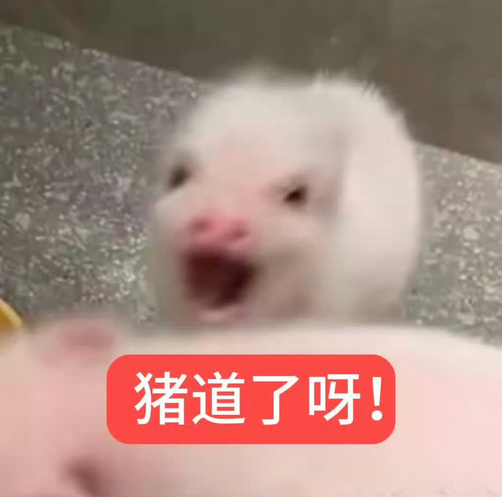 猪 ​​​