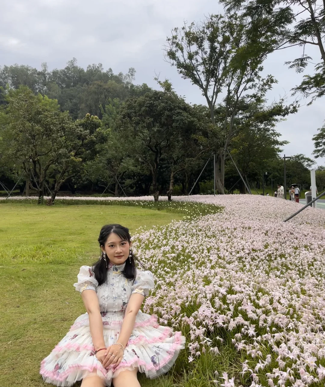 深圳科学公园的花海🌸