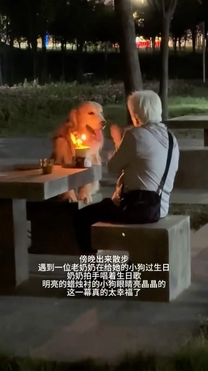 狗狗眼里没有蛋糕，眼里只有奶奶🥰🥰 