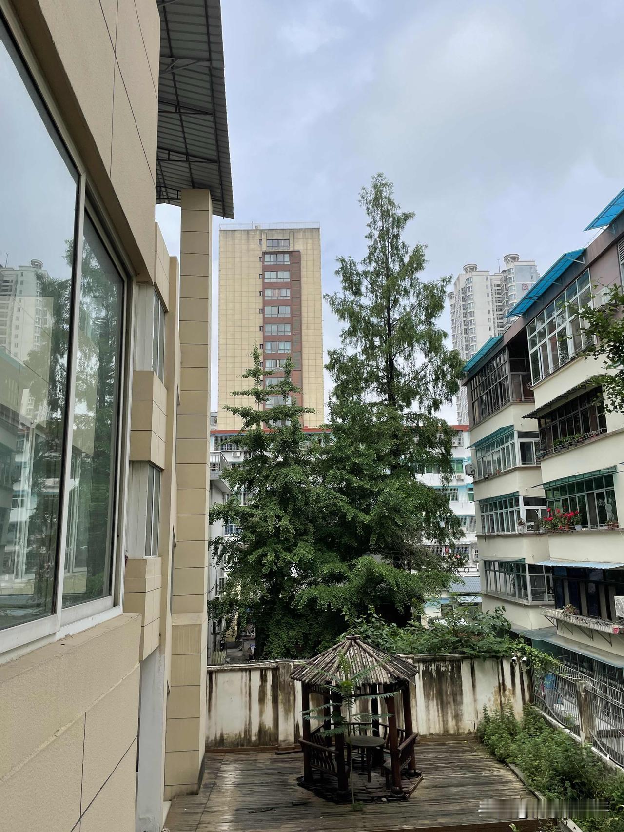 今天天气应该算多云吧，说是阴天也合适。
