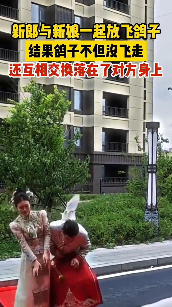 新郎与新娘一起放飞鸽子，结果鸽子不但没飞走，还互相交换落在了对方身上。
来源：都