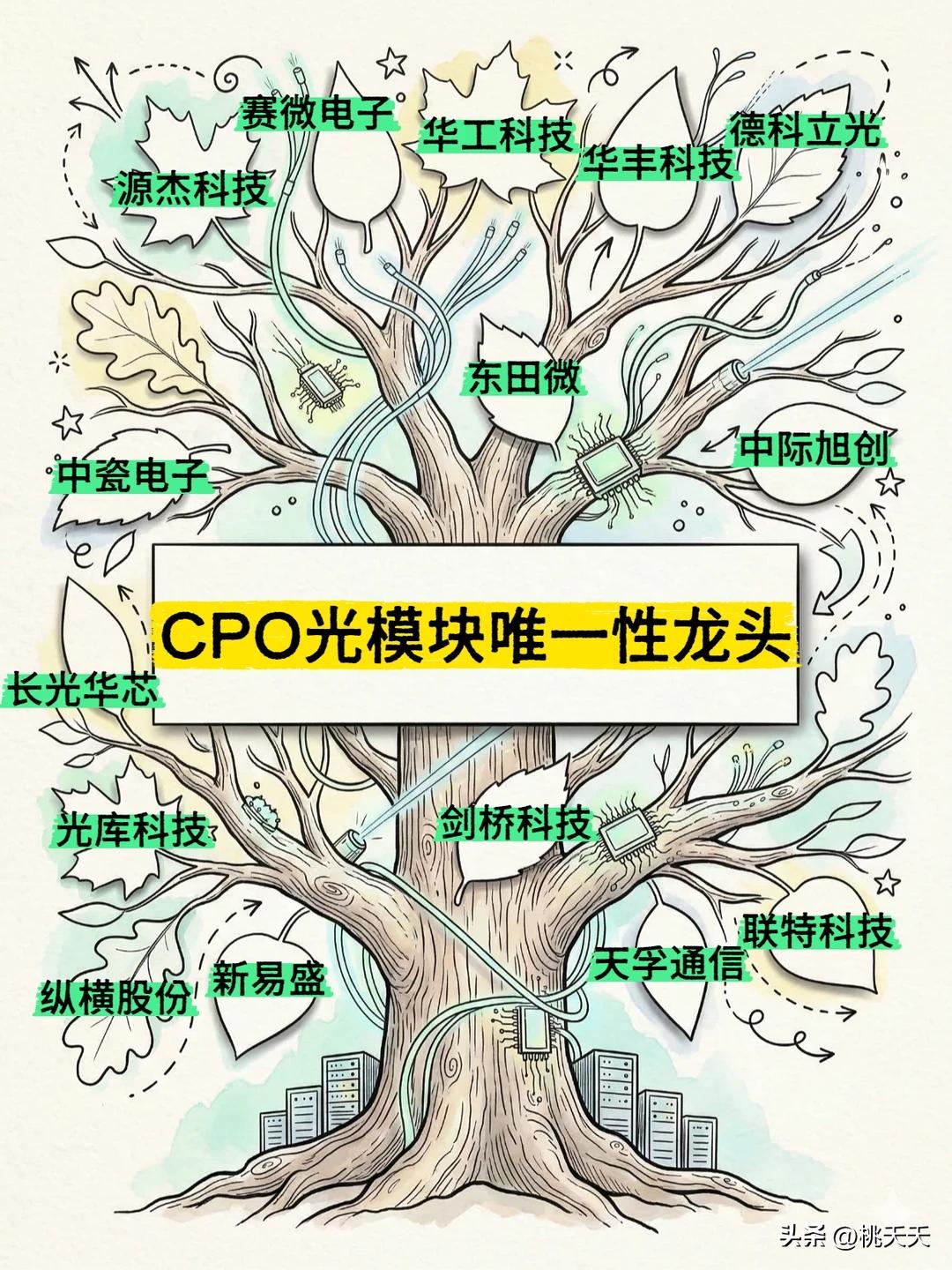 一分钟看懂CPO光模块15只唯一性龙头！！！
 
🟢 第一组：上游核心器件/芯