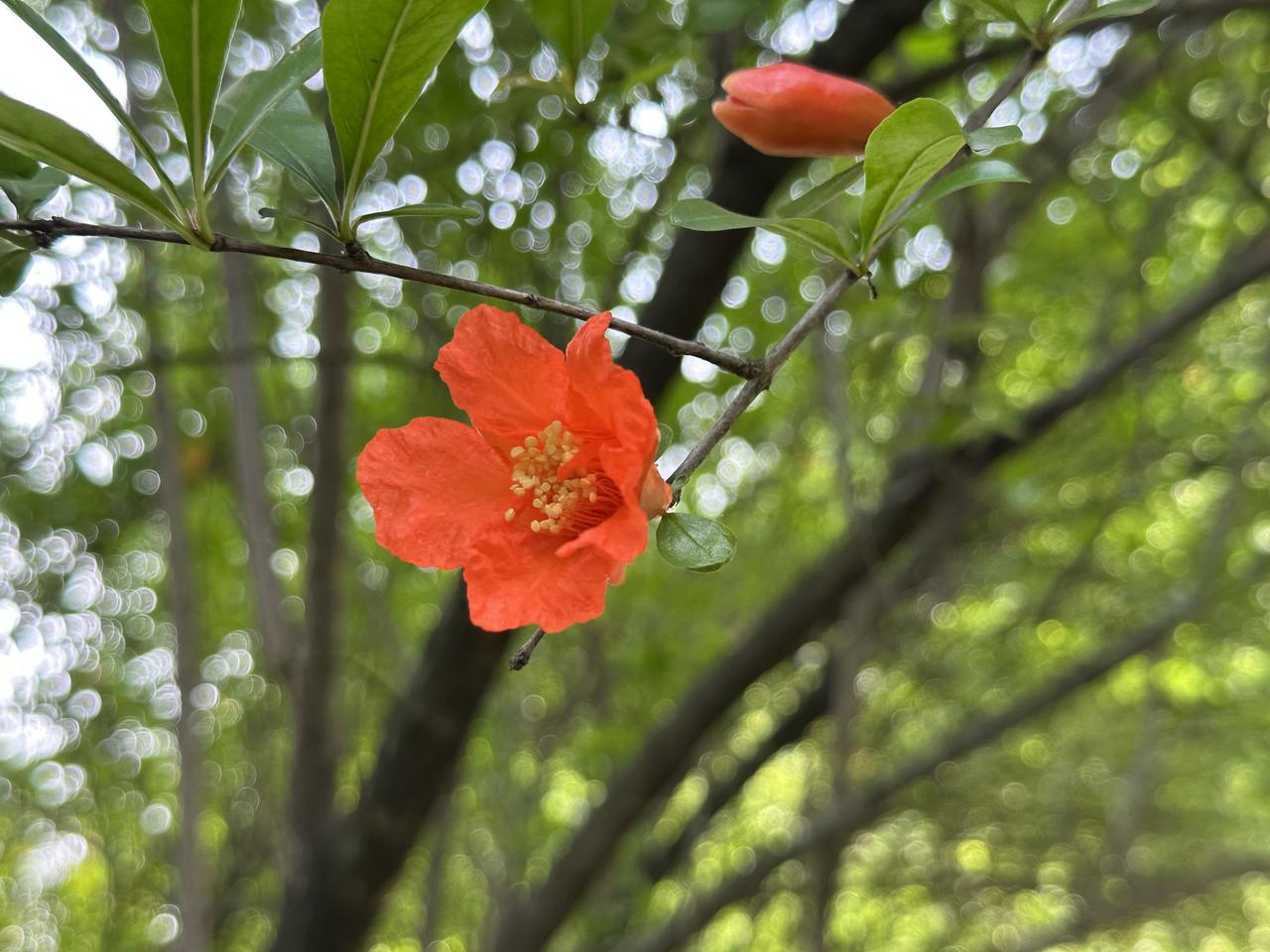 阿里巴巴公司员工的年终奖到底怎样？

四月份马上就结束了，听人家说阿里巴巴要发去