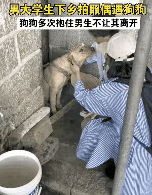 真让人心酸啊！有个小伙子和女朋友一同到乡下游玩、拍摄风景。途经一户人家的时候，瞧