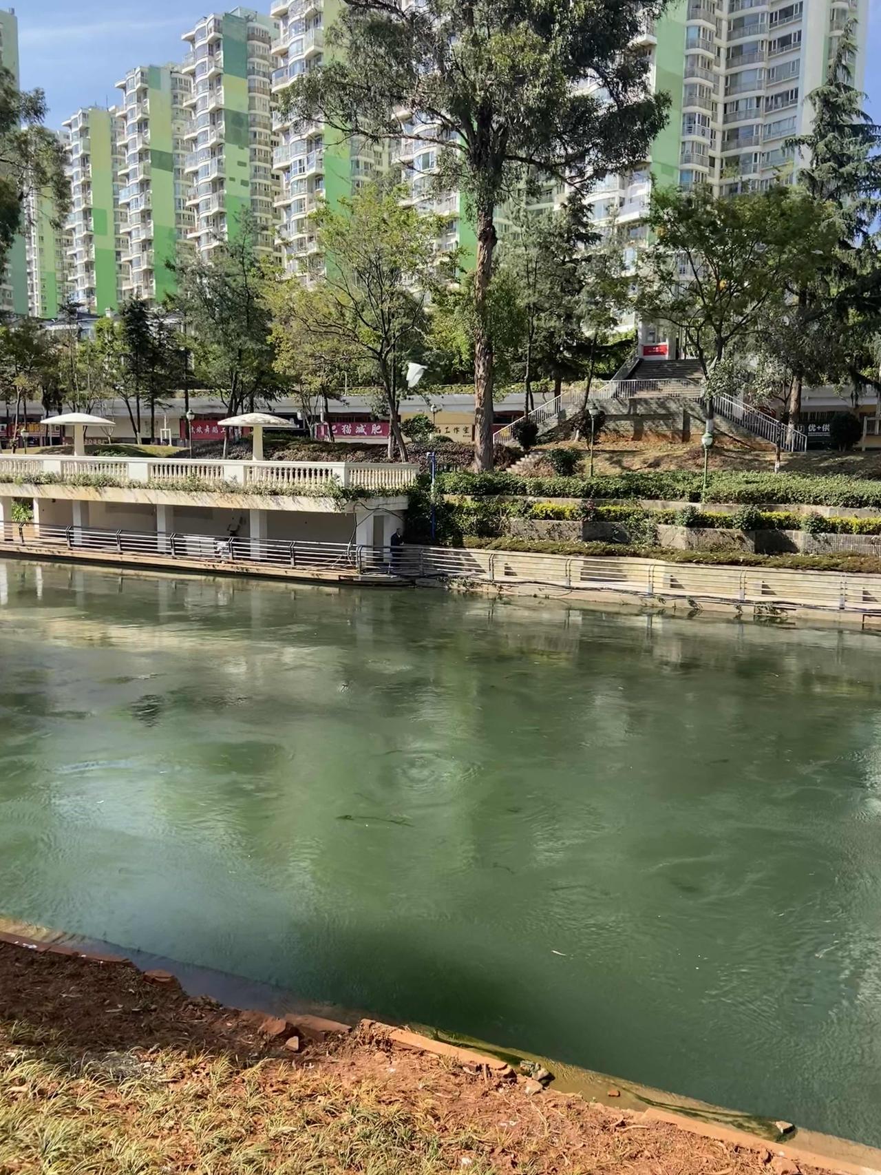 阳光明媚的日子跑步，有时候会去水边看看，呼吸点水汽，湿润一下鼻子，但总会惊走水边