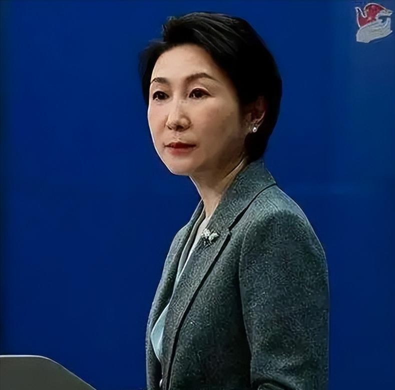 5月25日，外交部发言人毛宁在例行记者会上一番表态，犹如重磅惊雷，立刻搅动整个国