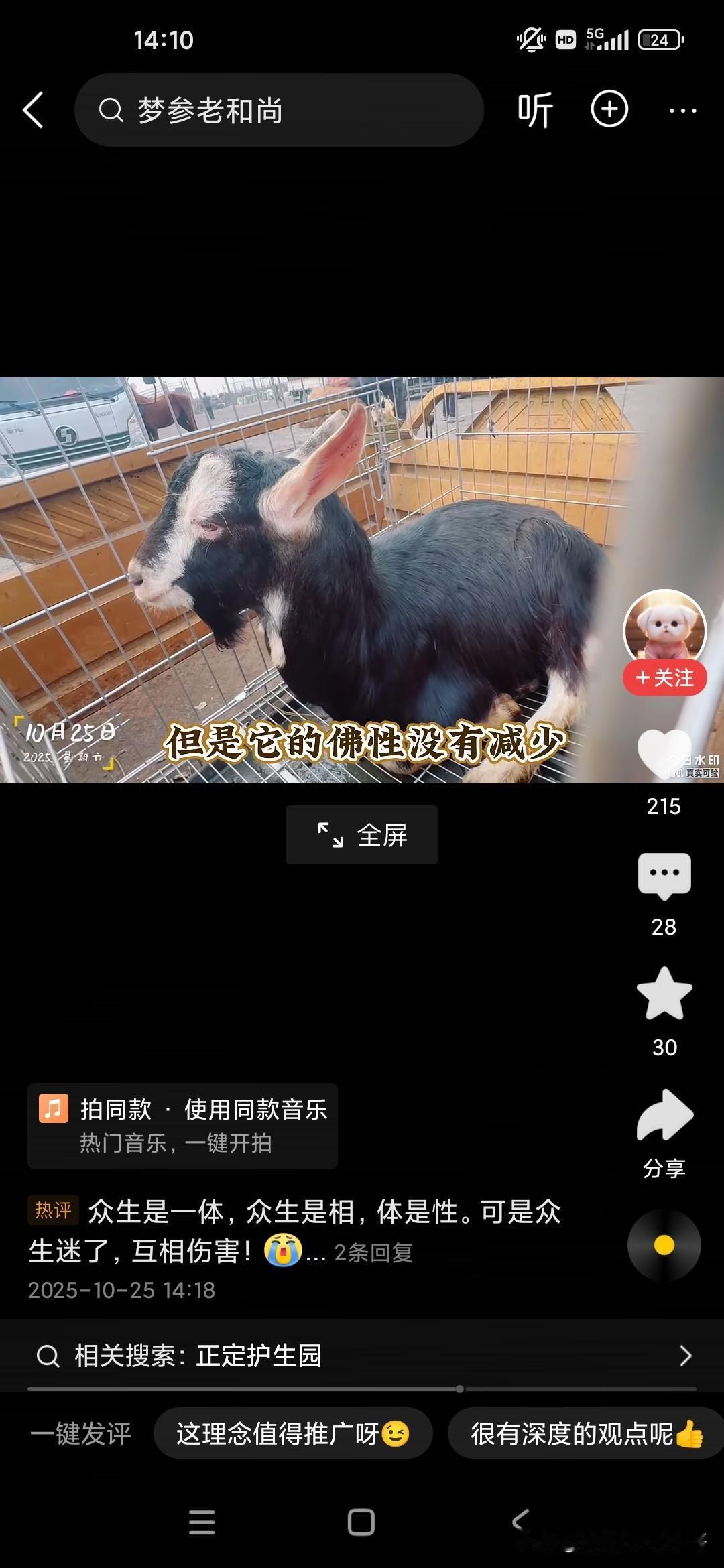 不知道你信不信佛，不知道你吃不吃荤，有一些国学大师或者佛学大师建议某些动物是不要