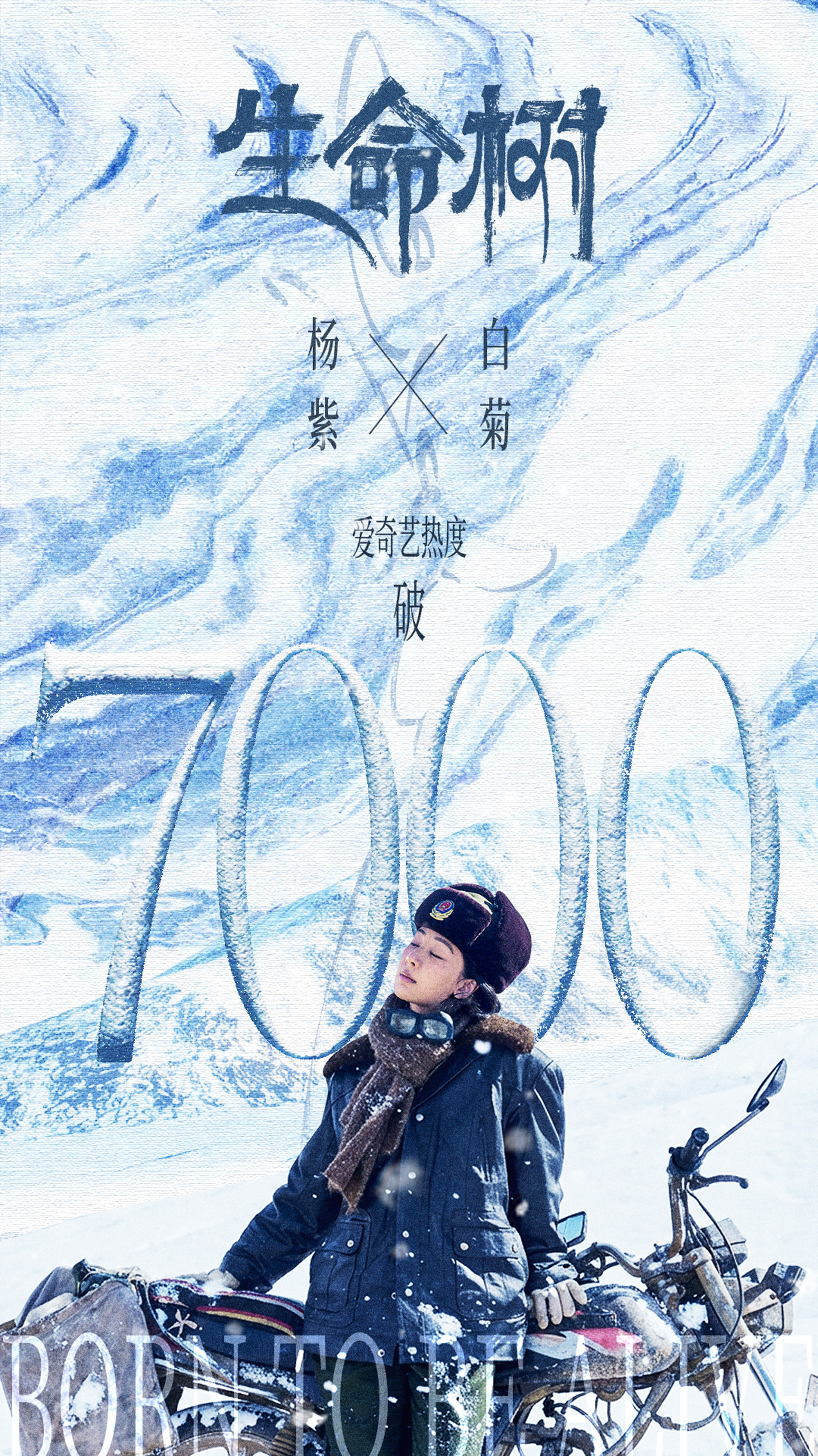 恭喜生命树爱奇艺热度破7000！！杨紫白菊v榜角色指数首日破9生命树疑似被恶意评