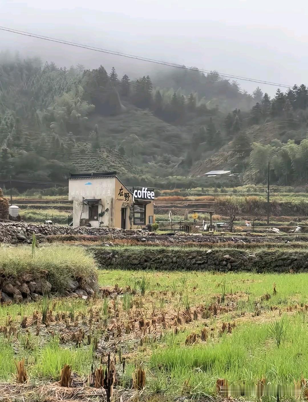 山脚下、稻田间，一间刷得雪白的小屋挂上了"coffee"的招牌——咖啡，正大摇大