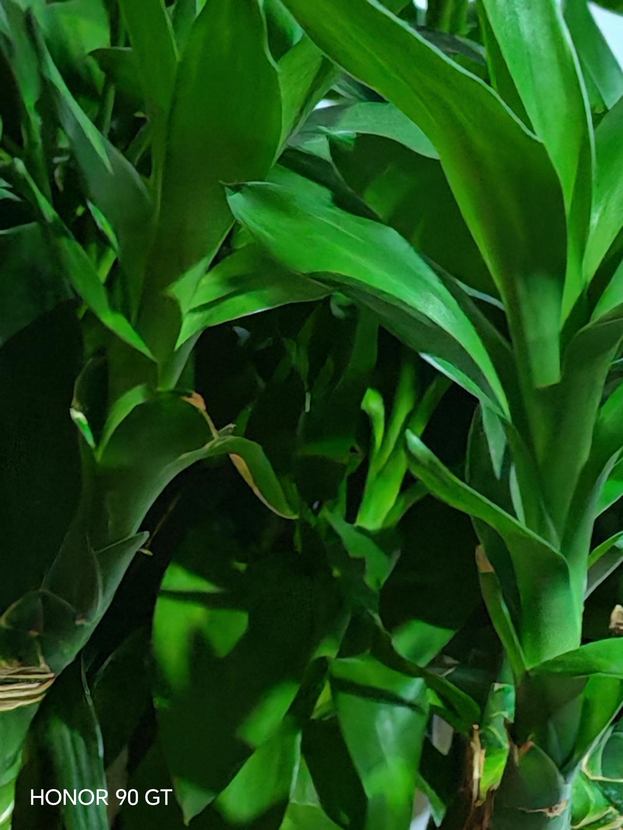 去旅游，春天花会开。