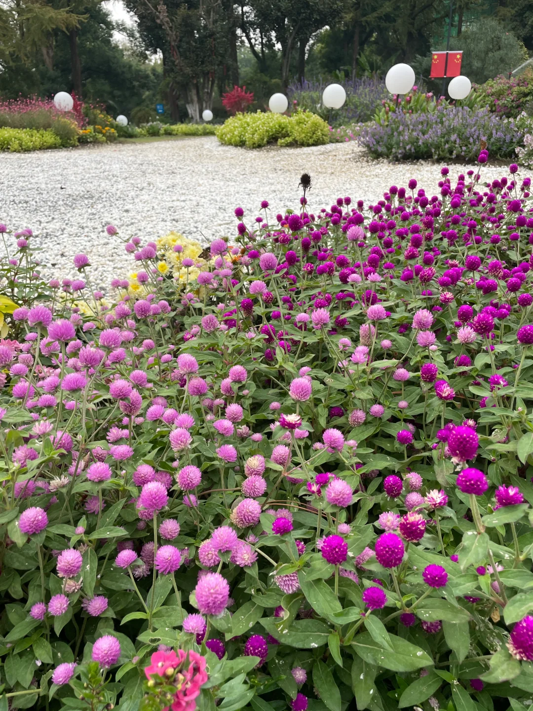 🍂我在植物园里捡到了秋天