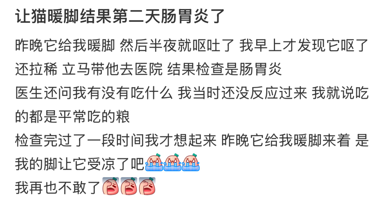 让猫暖脚结果第二天肠胃炎了  突发奇想让猫暖脚，结果猫猫第二天肠胃炎了[允悲] 