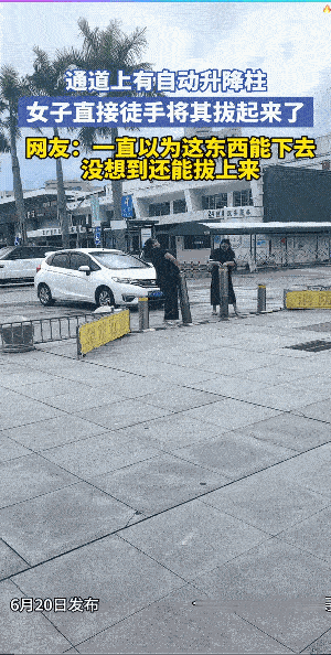 水浒传上有鲁智深倒拔垂杨柳，现大街上有“傅首尔”倒拔隔离柱，都不会一般般的大力士