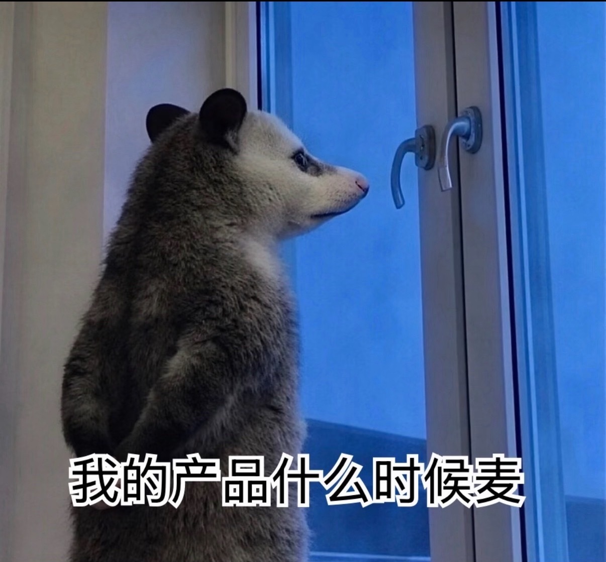 不敢想没有百密一疏的日子要怎么过，帅琦震华在正式收官前能不能再营业几天