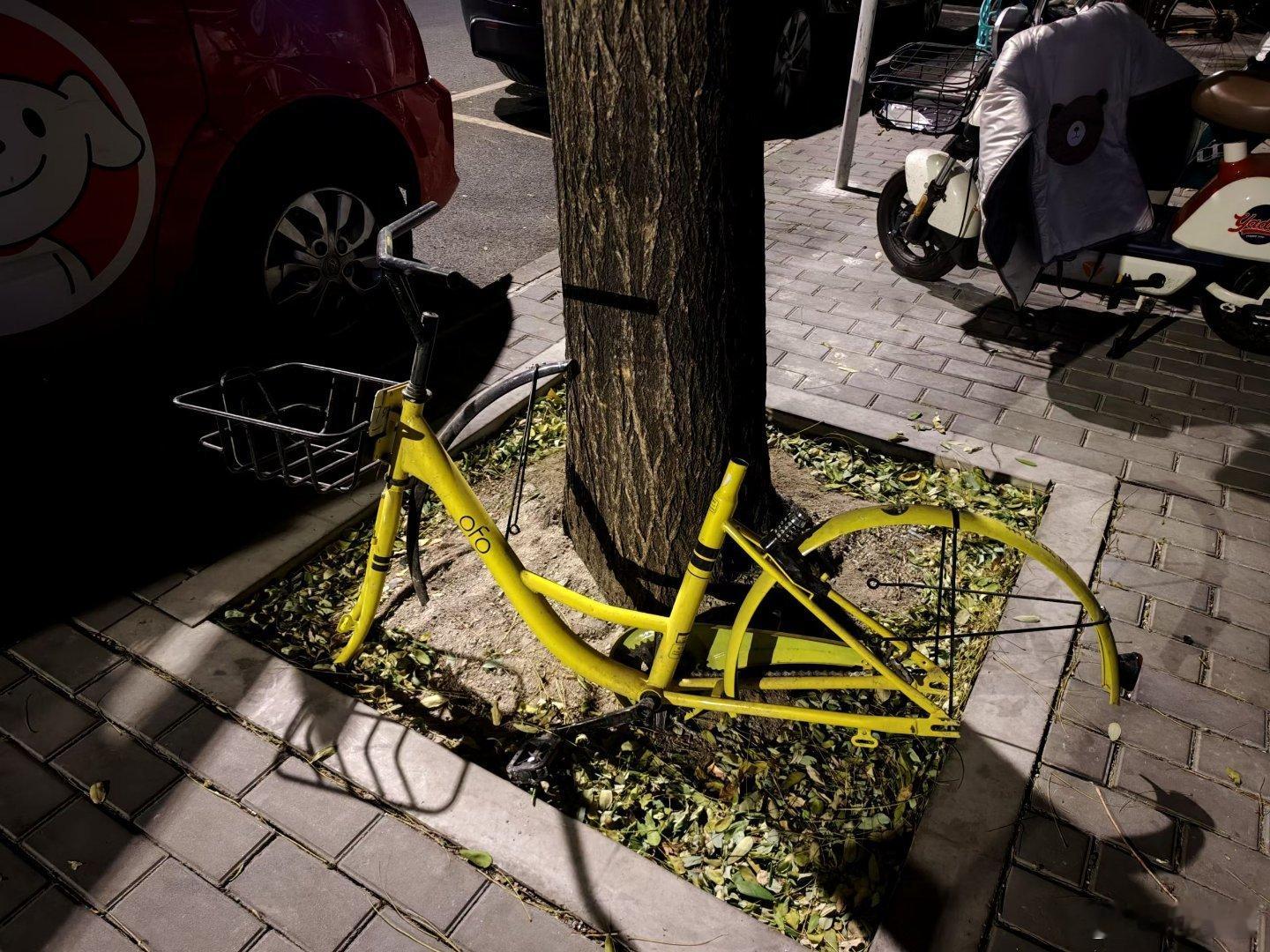 朋友圈看到的ofo残体，也想起还差我的99块押金!还有多少人没有退到押金的?